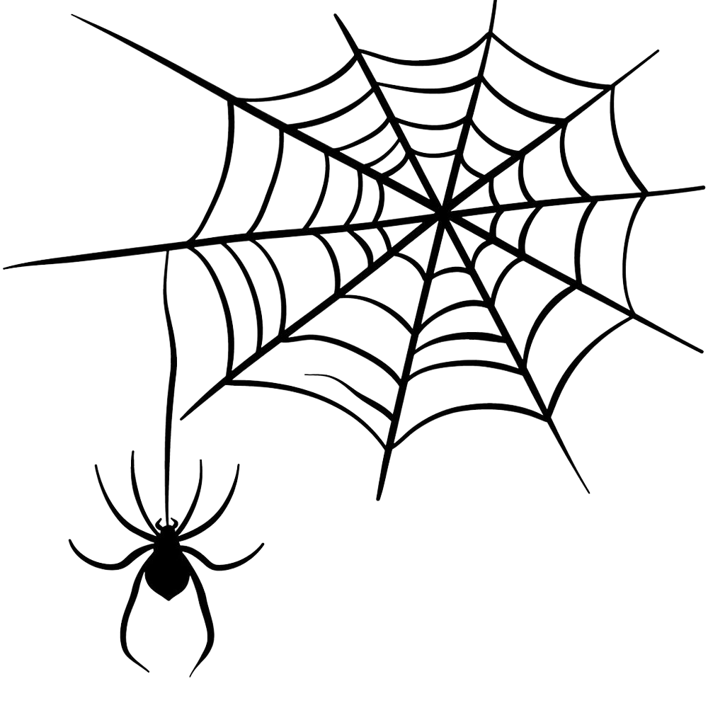 Spider image